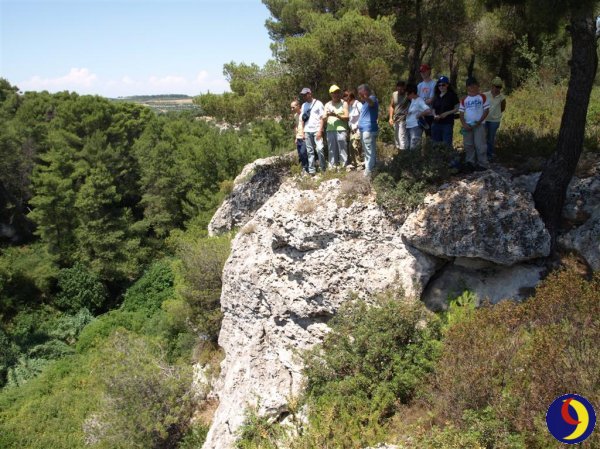 Gravina di Miola 08.jpg