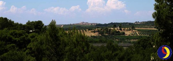 Gravina di Miola 12.jpg